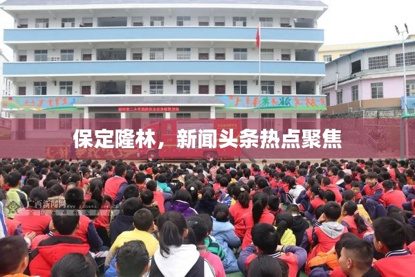 保定隆林,新闻头条热点聚焦