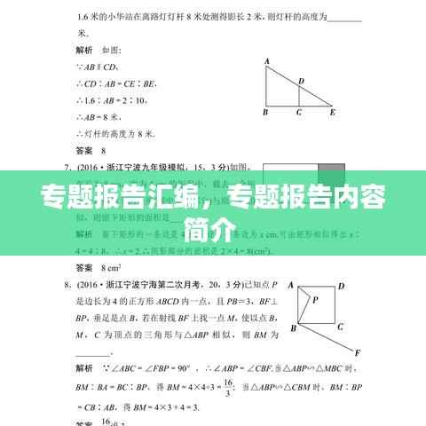 专题报告汇编,专题报告内容简介
