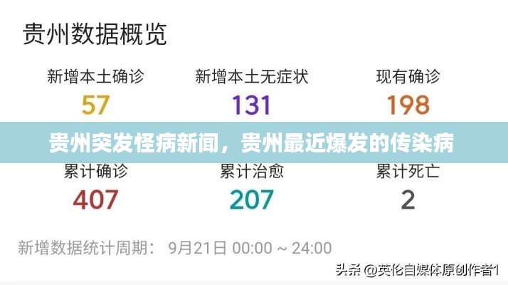 贵州突发怪病新闻,贵州最近爆发的传染病