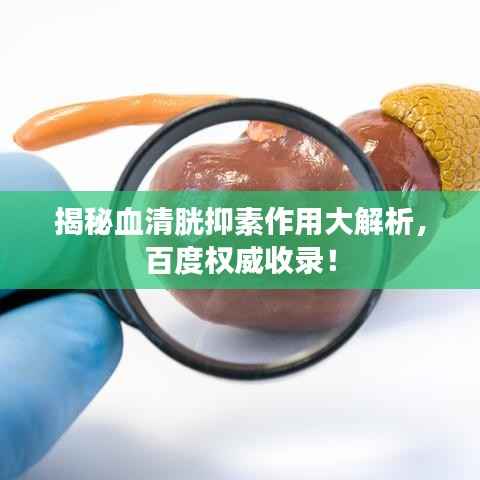 揭秘血清胱抑素作用大解析,百度权威收录!