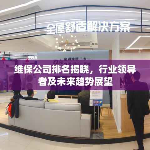 维保公司排名揭晓,行业领导者及未来趋势展望