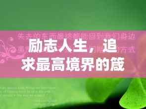 励志人生,追求最高境界的箴言妙语
