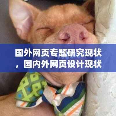国外网页专题研究现状,国内外网页设计现状分析