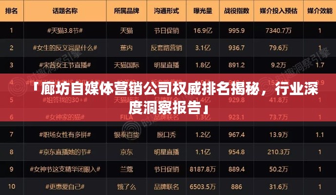 「廊坊自媒体营销公司权威排名揭秘,行业深度洞察报告」