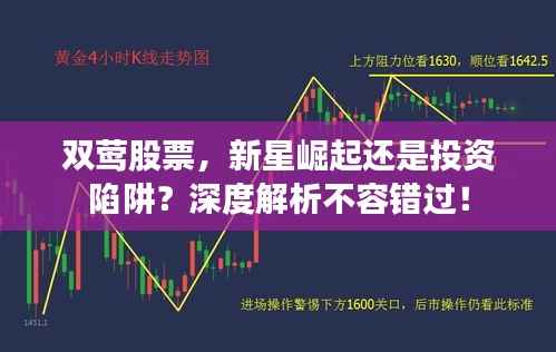 双莺股票，新星崛起还是投资陷阱？深度解析不容错过！
