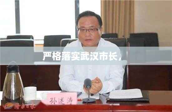 严格落实武汉市长,