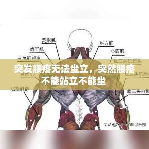 突发腰疼无法坐立,突然腰疼不能站立不能坐