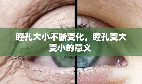 新闻动态 第138页