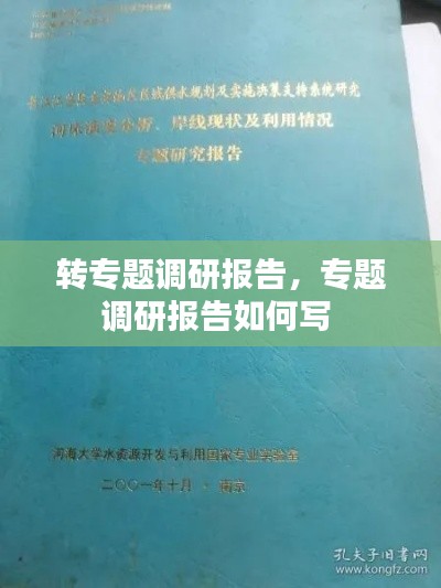 转专题调研报告,专题调研报告如何写