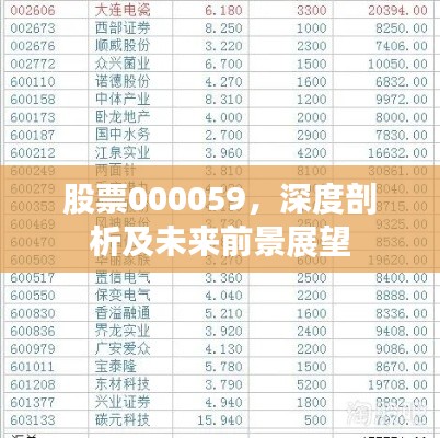 股票000059,深度剖析及未来前景展望