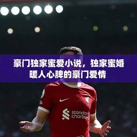 豪门独家蜜爱小说,独家蜜婚暖人心脾的豪门爱情