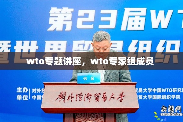 wto专题讲座,wto专家组成员
