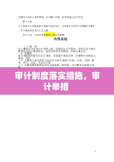 审计制度落实措施,审计举措