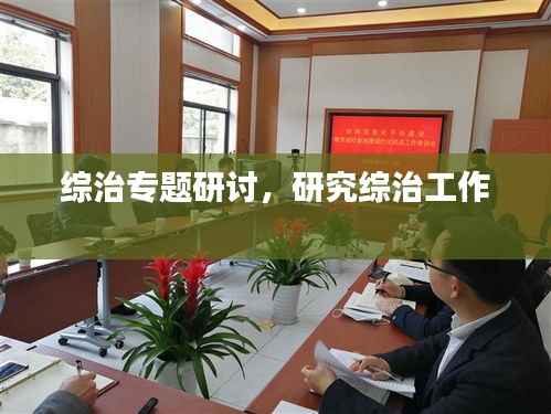 综治专题研讨,研究综治工作