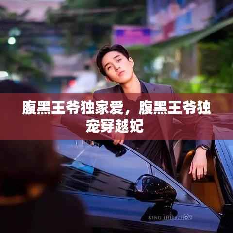 腹黑王爷独家爱,腹黑王爷独宠穿越妃