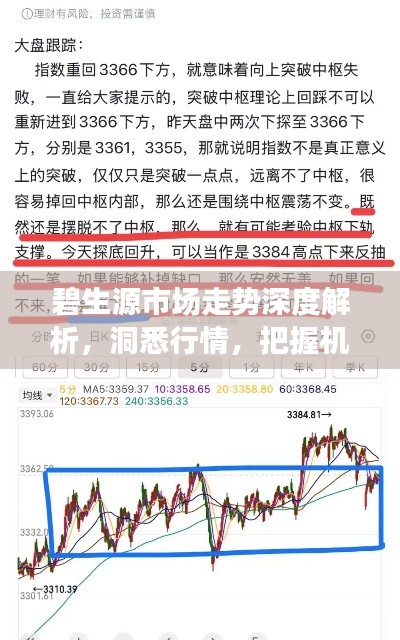碧生源市场走势深度解析，洞悉行情，把握机遇！