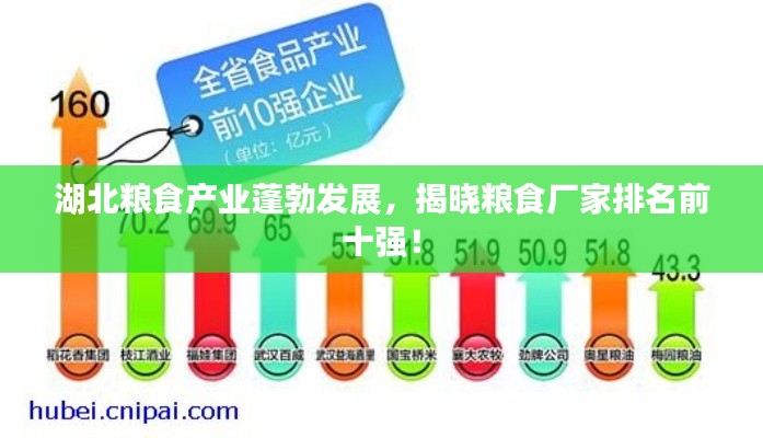 湖北粮食产业蓬勃发展,揭晓粮食厂家排名前十强!