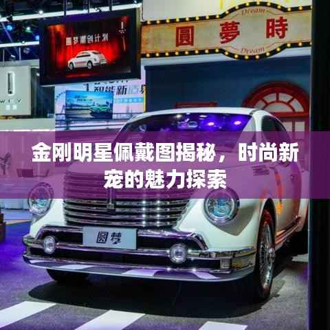 金刚明星佩戴图揭秘,时尚新宠的魅力探索