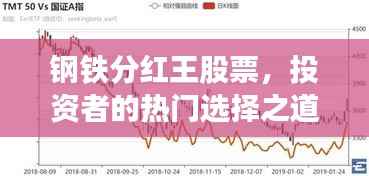 钢铁分红王股票,投资者的热门选择之道