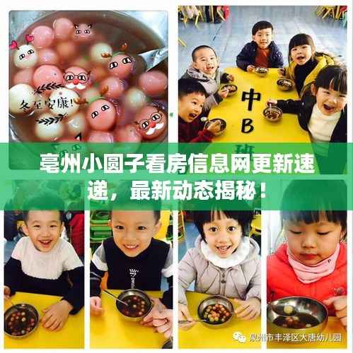 亳州小圆子看房信息网更新速递,最新动态揭秘!