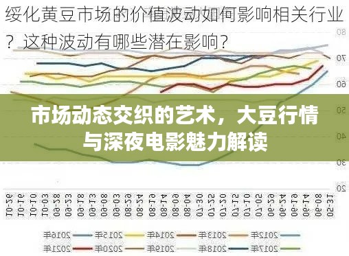 市场动态交织的艺术,大豆行情与深夜电影魅力解读