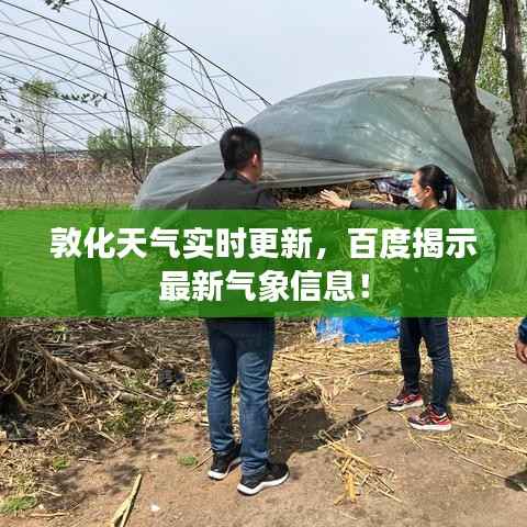 敦化天气实时更新,百度揭示最新气象信息!