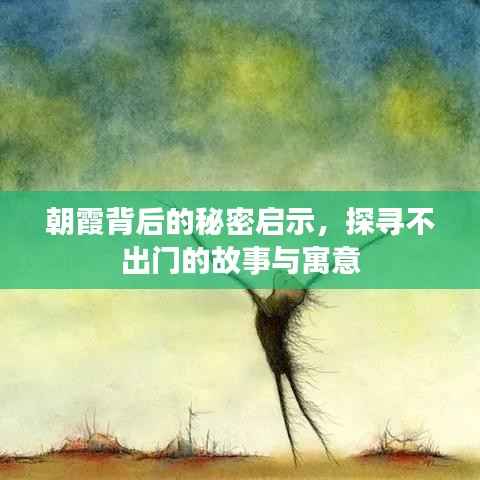 朝霞背后的秘密启示，探寻不出门的故事与寓意