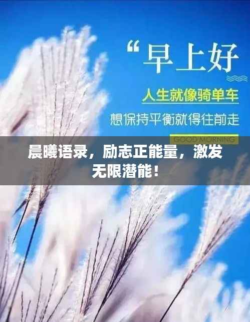 晨曦语录,励志正能量,激发无限潜能!
