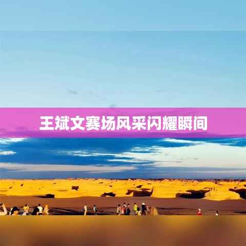 王斌文赛场风采闪耀瞬间