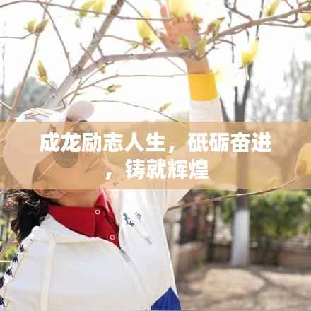 成龙励志人生,砥砺奋进,铸就辉煌