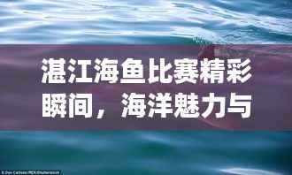湛江海鱼比赛精彩瞬间,海洋魅力与渔技风采展现视频