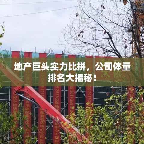 地产巨头实力比拼,公司体量排名大揭秘!