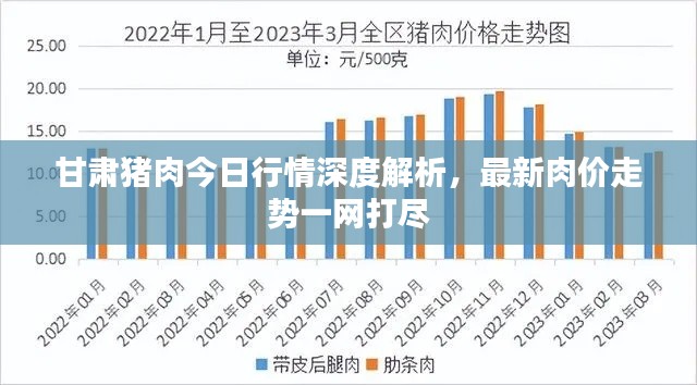 甘肃猪肉今日行情深度解析,最新肉价走势一网打尽