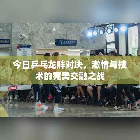 今日乒乓龙胖对决,激情与技术的完美交融之战
