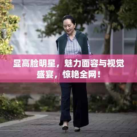 显高脸明星,魅力面容与视觉盛宴,惊艳全网!