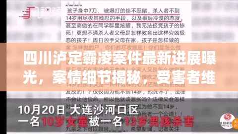 四川泸定霸凌案件最新进展曝光,案情细节揭秘,受害者维权之路持续前行