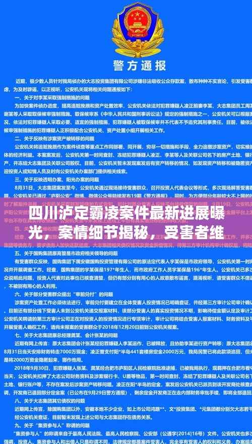 四川泸定霸凌案件最新进展曝光,案情细节揭秘,受害者维权之路持续前行