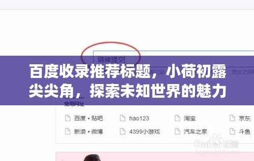 百度收录推荐标题，小荷初露尖尖角，探索未知世界的魅力