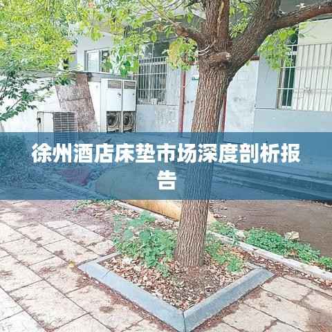 徐州酒店床垫市场深度剖析报告
