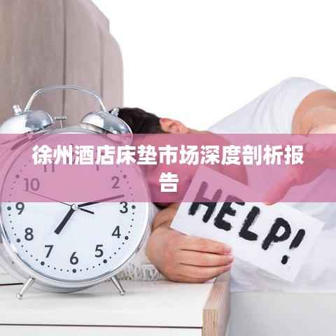 徐州酒店床垫市场深度剖析报告