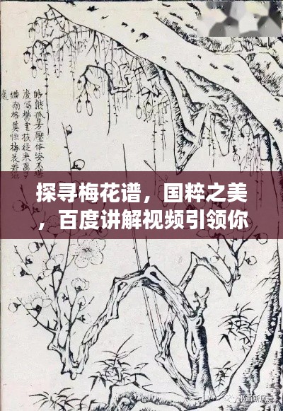 探寻梅花谱,国粹之美,百度讲解视频引领你领略风采