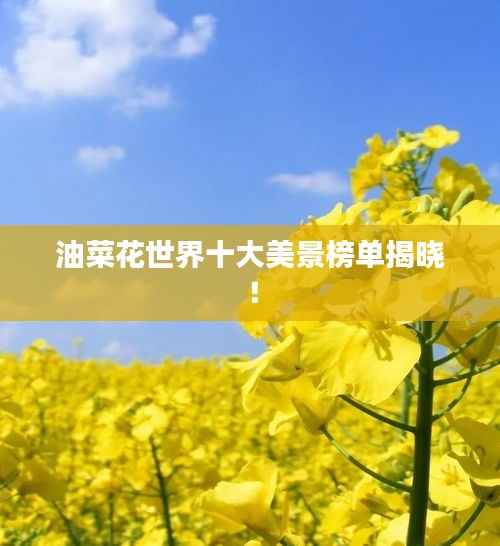 油菜花世界十大美景榜单揭晓!