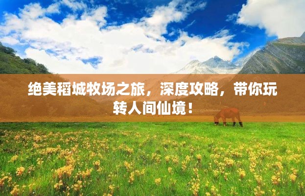绝美稻城牧场之旅,深度攻略,带你玩转人间仙境!