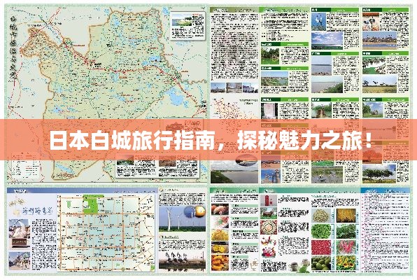 日本白城旅行指南,探秘魅力之旅!