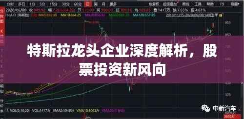 特斯拉龙头企业深度解析,股票投资新风向