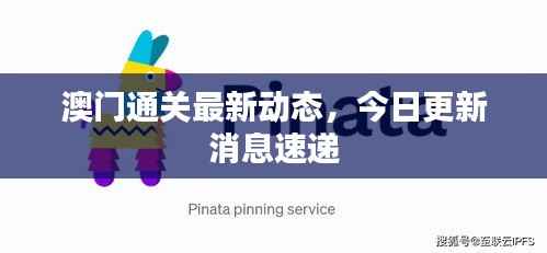 澳门通关最新动态,今日更新消息速递