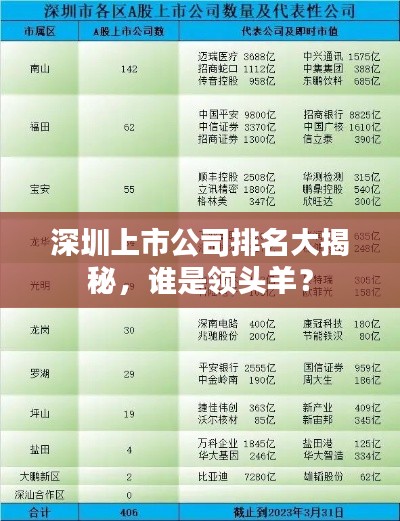 深圳上市公司排名大揭秘,谁是领头羊?