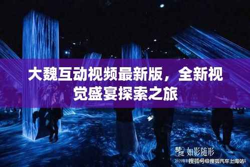 大魏互动视频最新版,全新视觉盛宴探索之旅