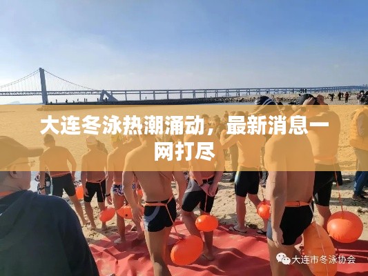 大连冬泳热潮涌动,最新消息一网打尽
