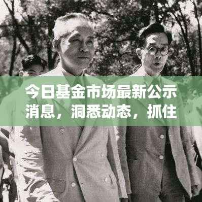 今日基金市场最新公示消息,洞悉动态,抓住投资机遇!